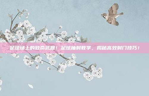 足球场上的致命武器！足球抽射教学，揭秘高效射门技巧！