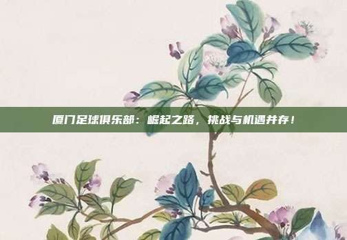 厦门足球俱乐部：崛起之路，挑战与机遇并存！