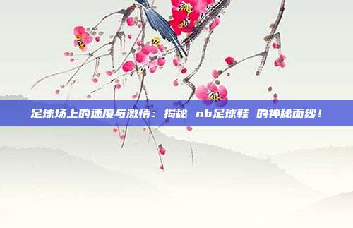 足球场上的速度与激情：揭秘 nb足球鞋 的神秘面纱！