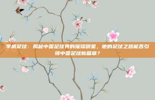 李根足球：揭秘中国足球界的璀璨明星，他的足球之路能否引领中国足球新篇章？