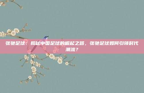 张驰足球：揭秘中国足球的崛起之路，张驰足球如何引领时代潮流？