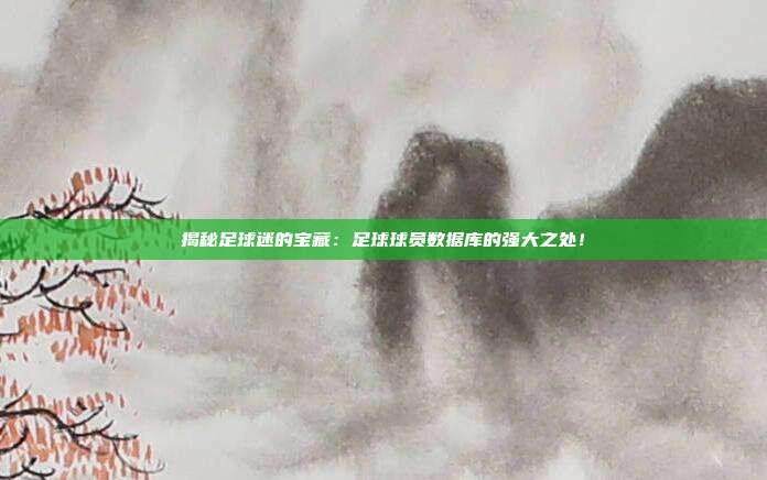 揭秘足球迷的宝藏：足球球员数据库的强大之处！