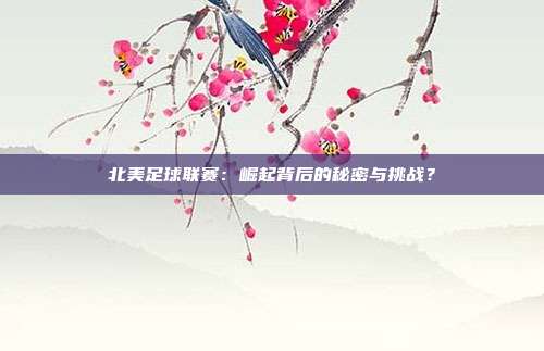 北美足球联赛：崛起背后的秘密与挑战？