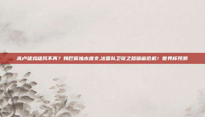 高卢雄鸡雄风不再？姆巴佩独木难支,法国队卫冕之路暗藏危机！世界杯预测