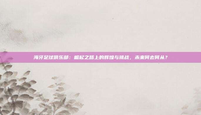 海牙足球俱乐部：崛起之路上的辉煌与挑战，未来何去何从？