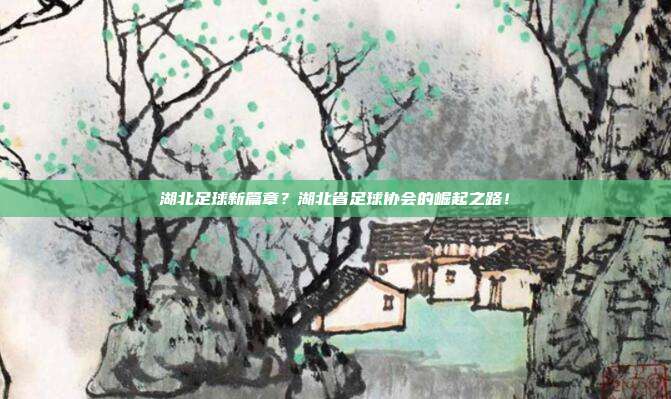 湖北足球新篇章？湖北省足球协会的崛起之路！