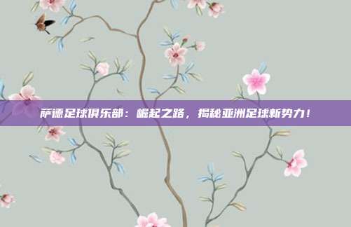 萨德足球俱乐部：崛起之路，揭秘亚洲足球新势力！