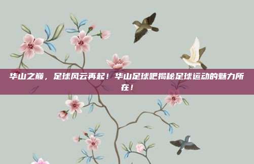 华山之巅，足球风云再起！华山足球吧揭秘足球运动的魅力所在！