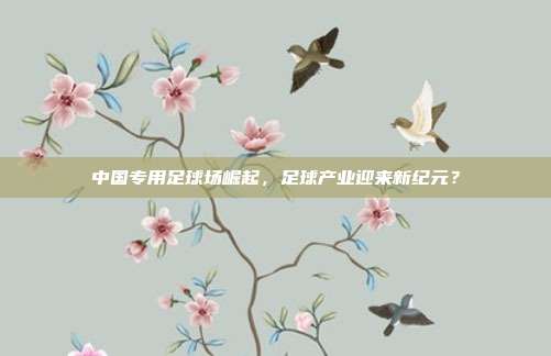 中国专用足球场崛起，足球产业迎来新纪元？