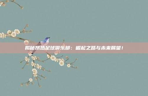 揭秘昂热足球俱乐部：崛起之路与未来展望！