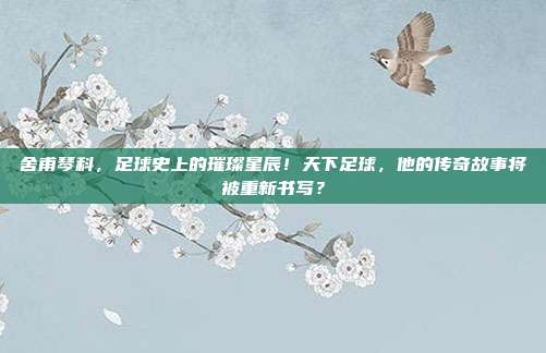 舍甫琴科，足球史上的璀璨星辰！天下足球，他的传奇故事将被重新书写？