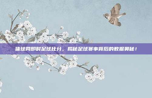 体球网即时足球比分，揭秘足球赛事背后的数据奥秘！