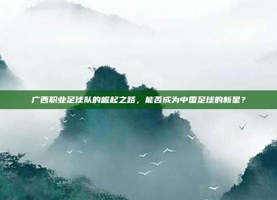 广西职业足球队的崛起之路，能否成为中国足球的新星？