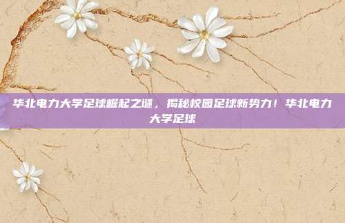 华北电力大学足球崛起之谜，揭秘校园足球新势力！华北电力大学足球