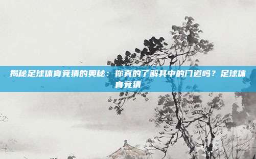 揭秘足球体育竞猜的奥秘：你真的了解其中的门道吗？足球体育竞猜