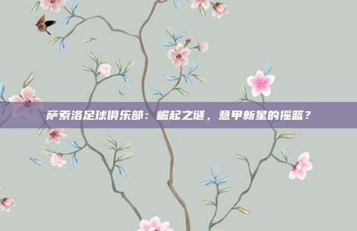 萨索洛足球俱乐部：崛起之谜，意甲新星的摇篮？