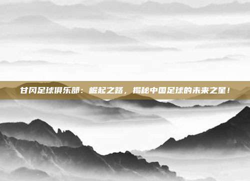 甘冈足球俱乐部：崛起之路，揭秘中国足球的未来之星！