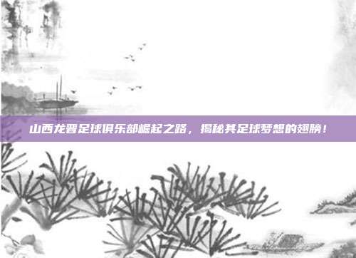 山西龙晋足球俱乐部崛起之路，揭秘其足球梦想的翅膀！