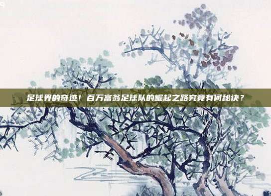 足球界的奇迹！百万富翁足球队的崛起之路究竟有何秘诀？
