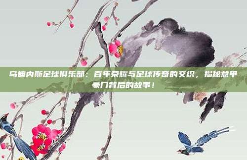 乌迪内斯足球俱乐部：百年荣耀与足球传奇的交织，揭秘意甲豪门背后的故事！