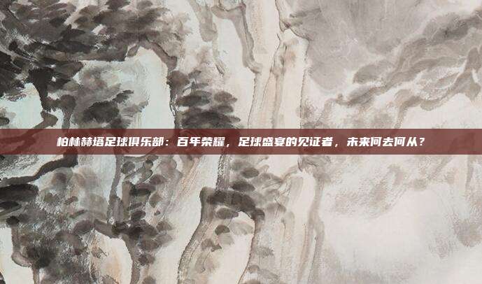 柏林赫塔足球俱乐部：百年荣耀，足球盛宴的见证者，未来何去何从？