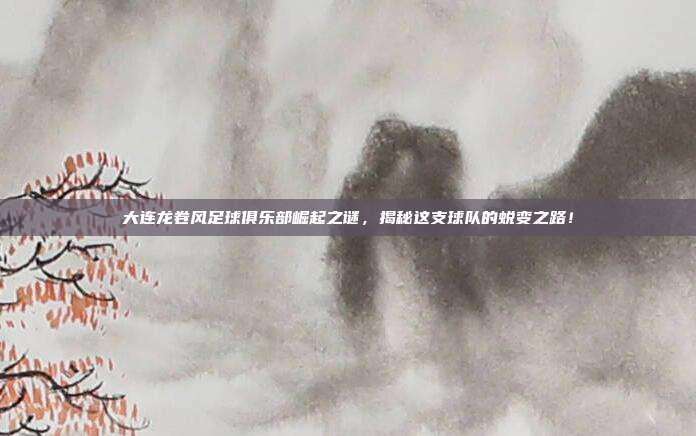 大连龙卷风足球俱乐部崛起之谜，揭秘这支球队的蜕变之路！