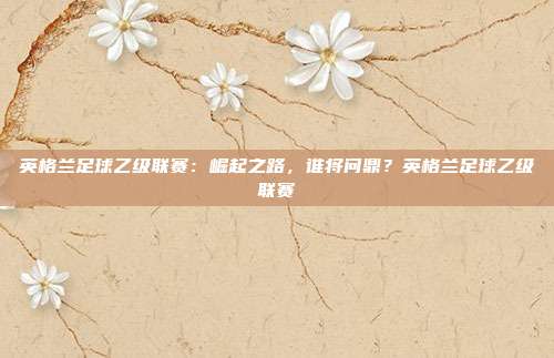 英格兰足球乙级联赛：崛起之路，谁将问鼎？英格兰足球乙级联赛
