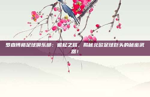 罗森博格足球俱乐部：崛起之路，揭秘北欧足球巨头的秘密武器！