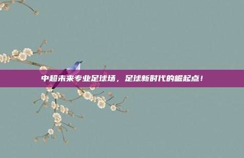 中超未来专业足球场，足球新时代的崛起点！
