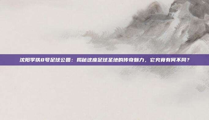 沈阳李铁8号足球公园：揭秘这座足球圣地的传奇魅力，它究竟有何不同？