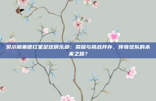 贝尔格莱德红星足球俱乐部：荣耀与挑战并存，传奇球队的未来之路？