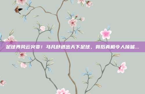 足球界风云突变！马凡舒退出天下足球，背后真相令人唏嘘...