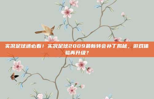 实况足球迷必看！实况足球2009最新转会补丁揭秘，游戏体验再升级？
