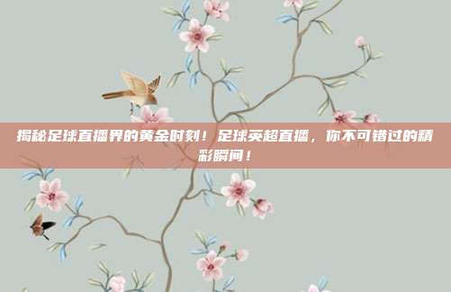 揭秘足球直播界的黄金时刻！足球英超直播，你不可错过的精彩瞬间！