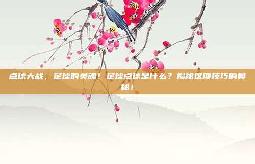 点球大战，足球的灵魂！足球点球是什么？揭秘这项技巧的奥秘！