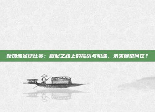 新加坡足球比赛：崛起之路上的挑战与机遇，未来展望何在？
