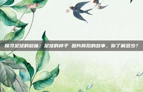 探寻足球的韵味：足球的样子 图片背后的故事，你了解多少？