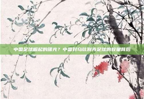 中国足球崛起的曙光？中国对乌兹别克足球的较量背后