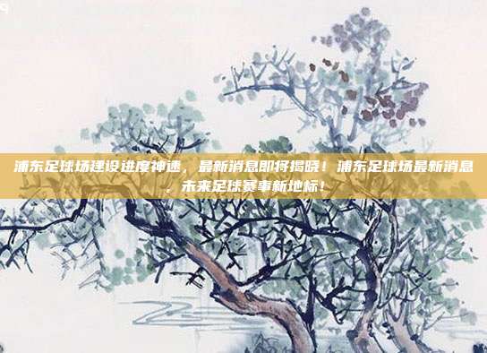 浦东足球场建设进度神速，最新消息即将揭晓！浦东足球场最新消息，未来足球赛事新地标！