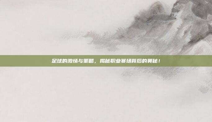 足球的激情与策略，揭秘职业赛场背后的奥秘！