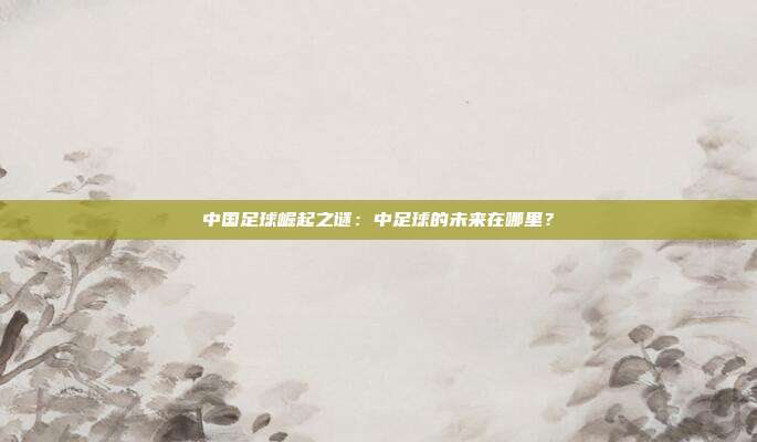 中国足球崛起之谜：中足球的未来在哪里？