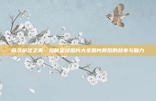 探寻足球之美：揭秘足球图片大全图片背后的故事与魅力