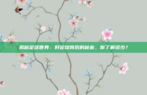 揭秘足球世界：好足球背后的秘密，你了解多少？