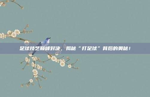 足球技艺巅峰对决，揭秘“打足球”背后的奥秘！