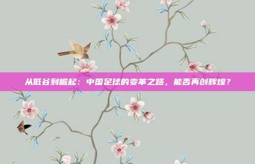从低谷到崛起：中国足球的变革之路，能否再创辉煌？