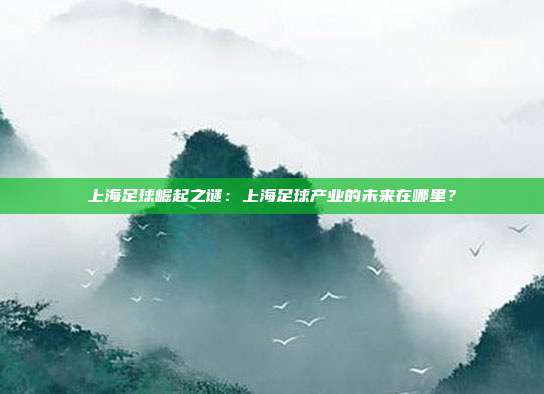 上海足球崛起之谜：上海足球产业的未来在哪里？