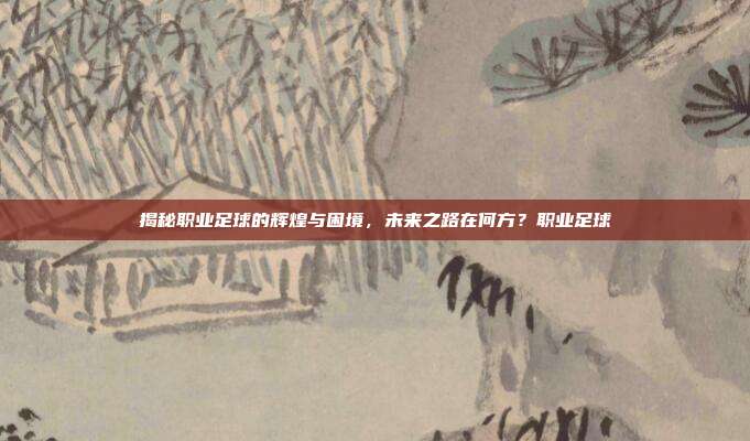 揭秘职业足球的辉煌与困境，未来之路在何方？职业足球
