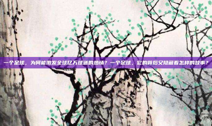 一个足球，为何能激发全球亿万球迷的热情？一个足球，它的背后又隐藏着怎样的故事？