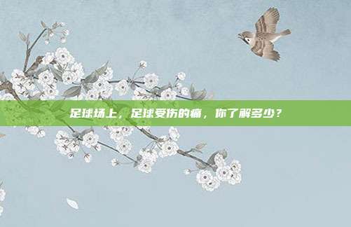 足球场上，足球受伤的痛，你了解多少？