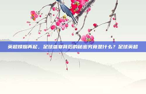 英超烽烟再起，足球盛宴背后的秘密究竟是什么？足球英超